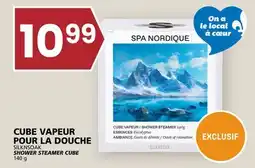 Rachelle-Bery Grocery SILKNSOAK SHOWER STEAMER CUBE offer