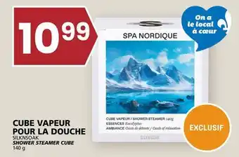 Rachelle-Bery Grocery SILKNSOAK SHOWER STEAMER CUBE offer