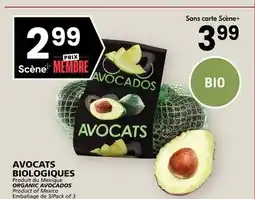 Rachelle-Bery Grocery ORGANIC AVOCADOS offer