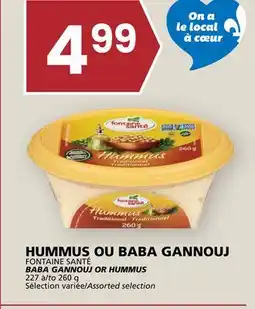 Rachelle-Bery Grocery FONTAINE SANTÉ BABA GANNOUJ OR HUMMUS offer
