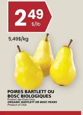 Rachelle-Bery Grocery ORGANIC BARTLETT OR BOSC PEARS offer