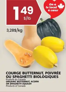 Rachelle-Bery Grocery ORGANIC BUTTERNUT, ACORN OR SPAGHETTI SQUASH offer