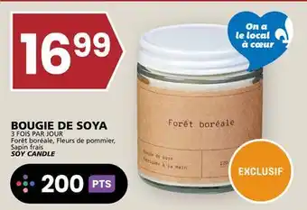 Rachelle-Bery Grocery Sapin frais SOY CANDLE offer