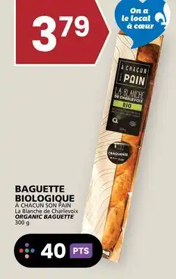 Rachelle-Bery Grocery À CHACUN SON PAIN ORGANIC BAGUETTE offer