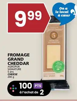 Rachelle-Bery Grocery AGROPUR SIGNATURE 5 ans CHEESE offer