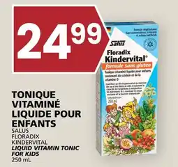 Rachelle-Bery Grocery SALUS FLORADIX KINDERVITAL LIQUID VITAMIN TONIC FOR KIDS offer