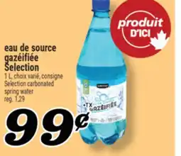 Marché Richelieu EAU DE SOURCE GAZÉIFIÉE SELECTION | SELECTION CARBONATED SPRING WATER offer
