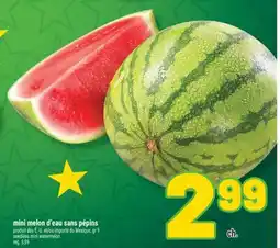 Marché Richelieu MINI MELON D'EAU SANS PÉPINS | SEEDLESS MINI WATERMELON offer
