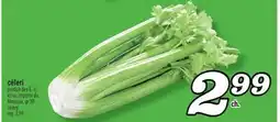 Marché Richelieu CÉLERI | CELERY offer