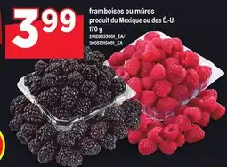 Maxi FRAMBOISES OU MÛRES, 170 G offer