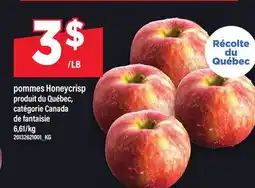 Maxi POMMES HONEYCRISP offer
