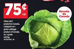 Maxi CHOU VERT | GREEN CABBAGE offer