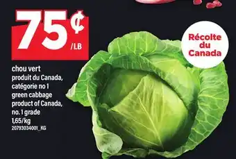 Maxi CHOU VERT | GREEN CABBAGE offer