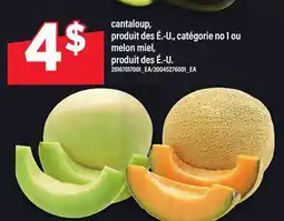 Maxi CANTALOUP | MELON MIEL offer