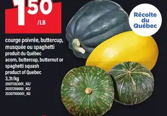 Maxi COURGE POIVRÉE, BUTTERCUP, MUSQUÉE OU SPAGHETTI | ACORN, BUTTERCUP, BUTTERNUT OR SPAGHETTI SQUASH offer