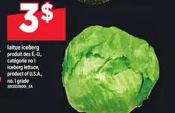 Maxi LAITUE ICEBERG | ICEBERG LETTUCE offer