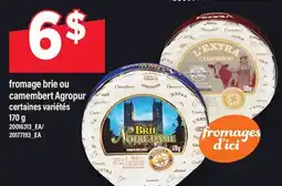 Maxi FROMAGE BRIE OU CAMEMBERT AGROPUR, 170 G offer