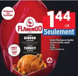 Maxi DINDON FLAMINGO OU CAVALIER, 3-9 KG offer