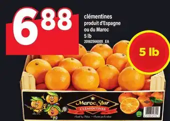 Maxi CLÉMENTINES, 5 LB offer