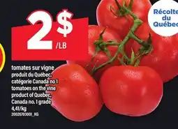 Maxi TOMATES SUR VIGNE | TOMATOES ON THE VINE offer