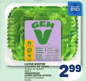 Marché Bonichoix GREENHOUSE LIVING BUTTER LETTUCE offer