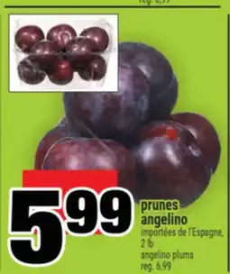 Super C prunes angelino | angelino plums offer