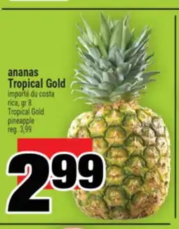 Super C Ananas Tropical Gold | Tropical Gold pineapple offer