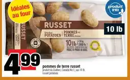 Super C pommes de terre russet | russet potatoes offer
