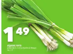 Marche Ami OIGNONS VERTS offer