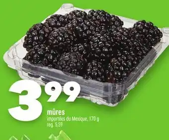 Marche Ami MÛRES offer