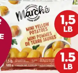 Giant Tiger 1.5 lb mini Potatoes offer