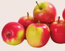 Giant Tiger Rosinette apples offer