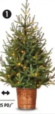 Canadian Tire Pre-Lit Upswept Spruce Potted Tree. Warm white LEDs offer