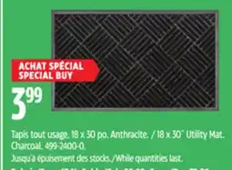 Canadian Tire 18 x 30˝ Utility Mat offer