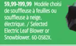 Canadian Tire Certified Selected Electric Leaf Blower or Snowblower offer