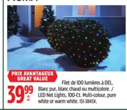 Canadian Tire NOMA LED Net Lights offer