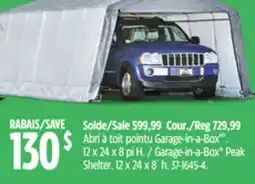Canadian Tire Shelterlogic Garage-in-a-Box Peak Shelter offer