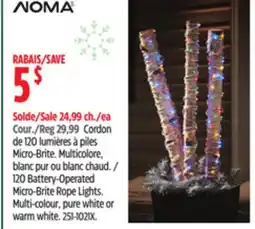 Canadian Tire NOMA 120 Battery-Operated Micro-Brite Rope Lights offer