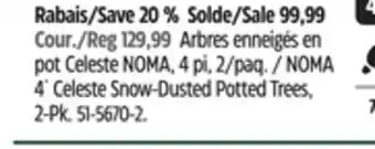 Canadian Tire NOMA 4´ Celeste Snow-Dusted Potted Trees offer