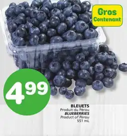 Marches Tradition BLUEBERRIES offer