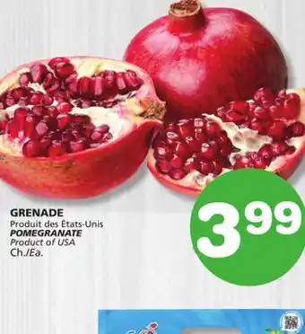 Marches Tradition POMEGRANATE offer