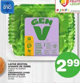 Marches Tradition GEN V GREENHOUSE LIVING BUTTER LETTUCE offer