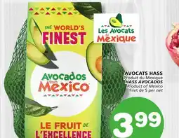 Marches Tradition HASS AVOCADOS offer