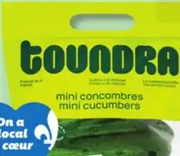 IGA SEEDLESS MINI CUCUMBERS offer