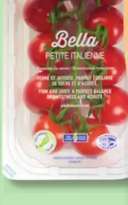 IGA BELLA ITALIAN TOMATOES offer