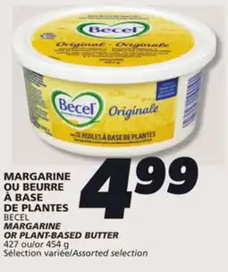 IGA BECEL MARGARINE OR PLANT-BASED BUTTER offer