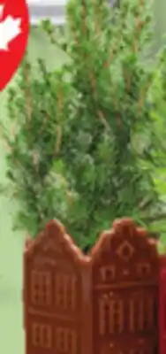 IGA MINI HOLIDAY TREE offer