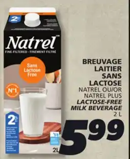 IGA NATREL PLUS LACTOSE-FREE MILK BEVERAGE offer