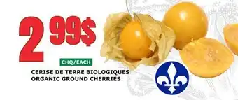 Marches Tau CERISE DE TERRE BIOLOGIQUES offer