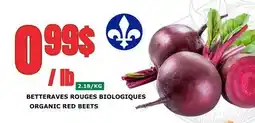 Marches Tau BETTERAVES ROUGES BIOLOGIQUES offer